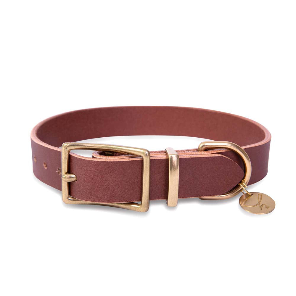Brown Luxury Leather Dog Collar