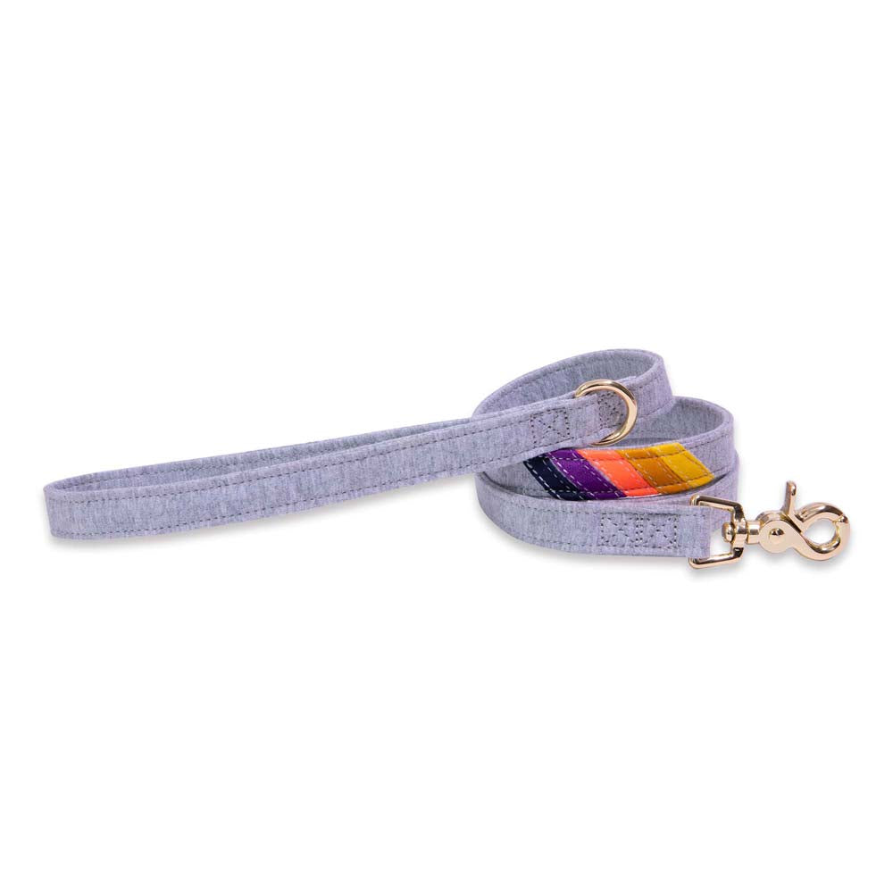 Gray Vintage Sunset Collar & Leash Bundle