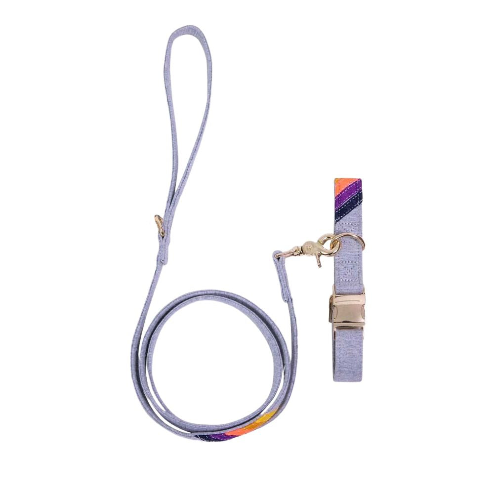 Gray Vintage Sunset Collar & Leash Bundle